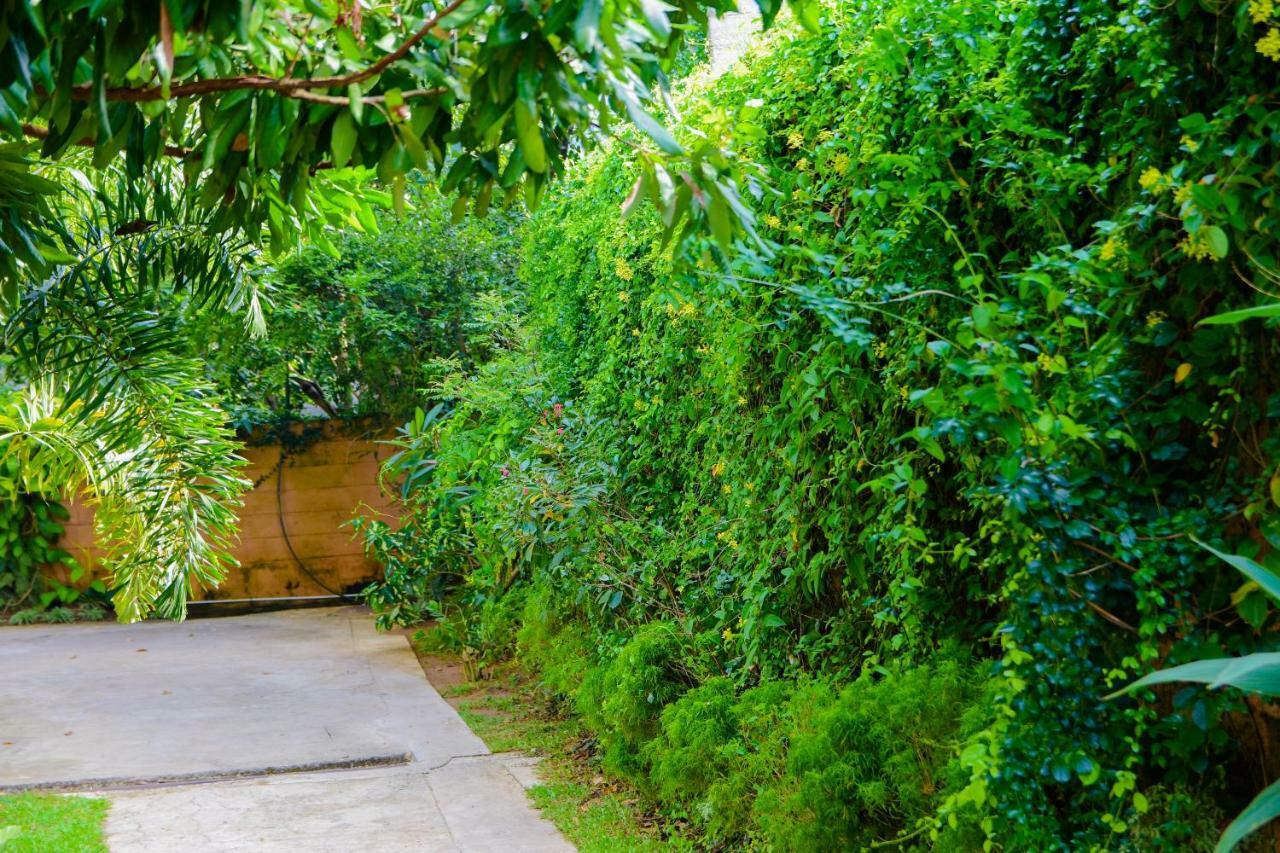 Homestay Garden Rest Kandy Dış mekan fotoğraf