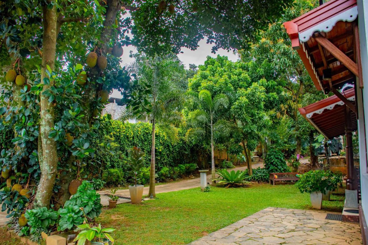 Homestay Garden Rest Kandy Dış mekan fotoğraf