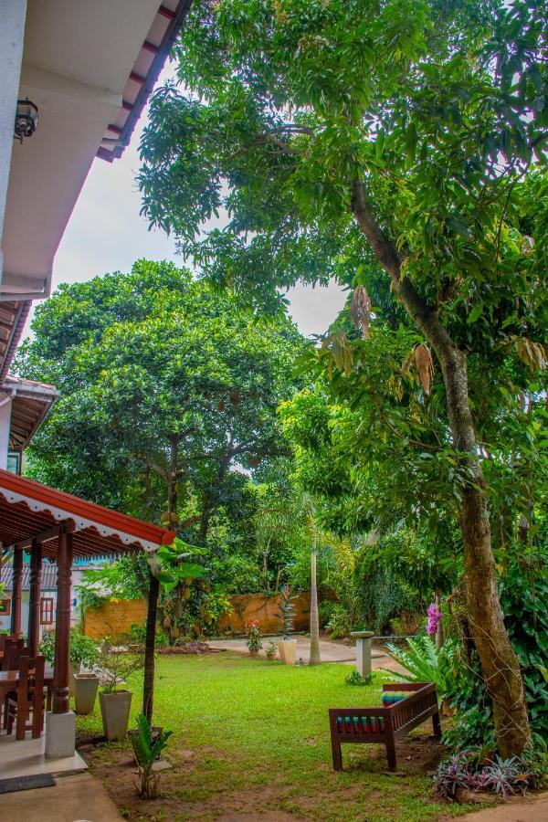 Homestay Garden Rest Kandy Dış mekan fotoğraf