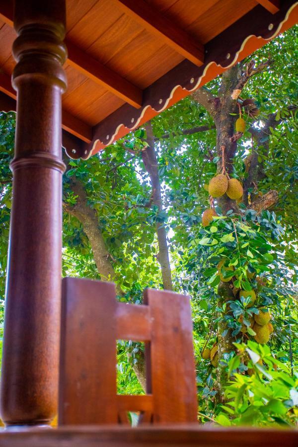 Homestay Garden Rest Kandy Dış mekan fotoğraf